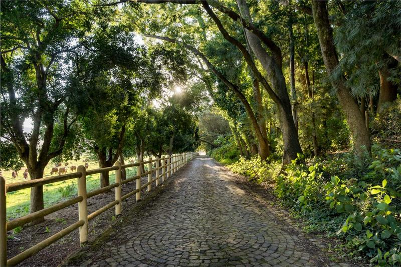 7 Bedroom Property for Sale in Wellington Open Space Western Cape